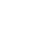 Grizzly bear paw